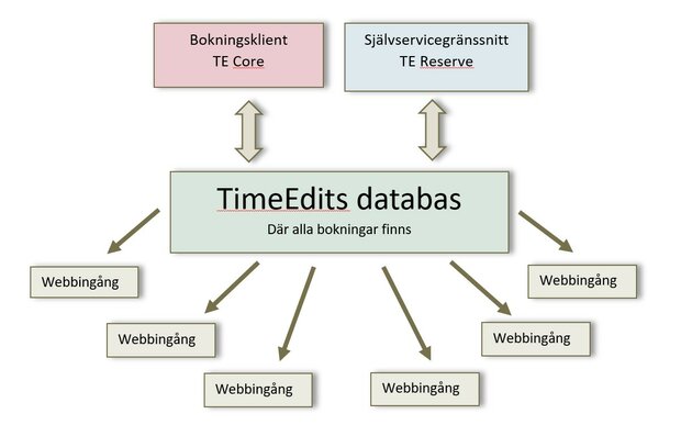 TimeEdits databasmodell