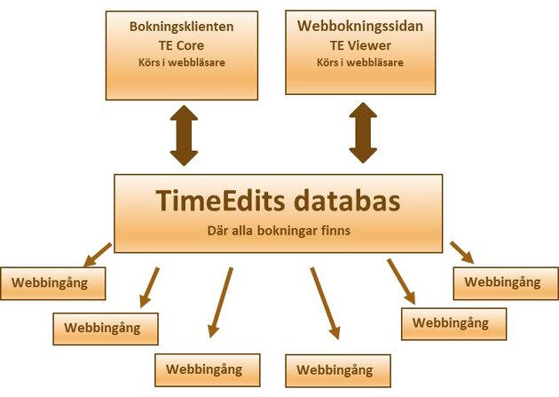Bilden visar olika sätt att komma in i TimeEdits databas och hur man får ut data via webbingångar.
